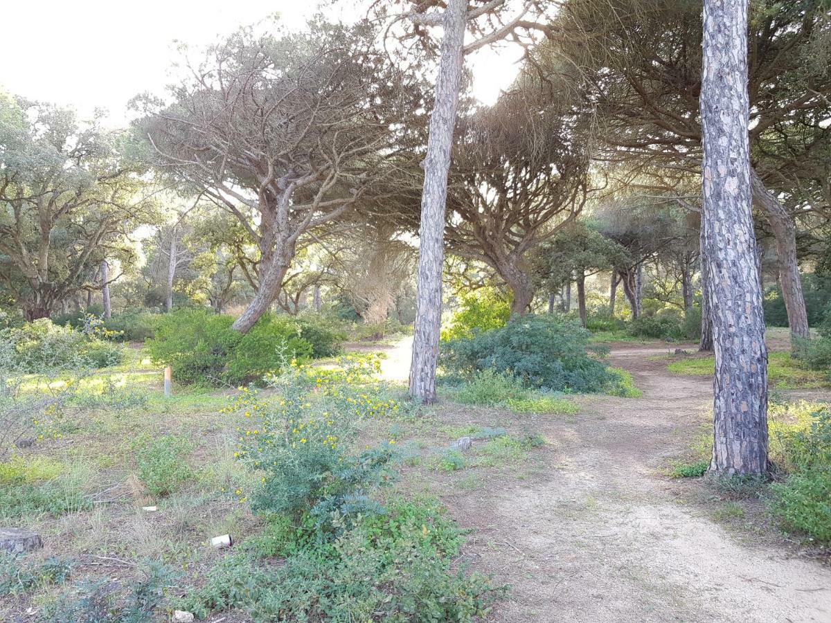 Apartamento Pinar Del Atlantico-La Barrosa Чиклана-де-ла-Фронтера Экстерьер фото
